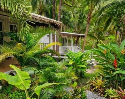 Secret Palm – 写真 12